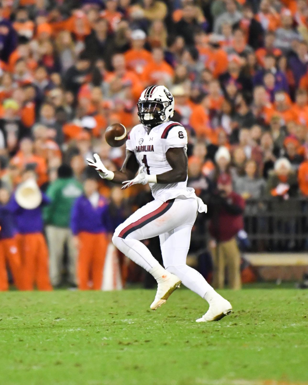 Clemson vs South Carolina 2018-61.jpg